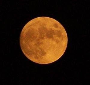 Yellow moon