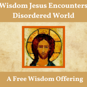The Wisdom Jesus Encounters Our Disordered World
