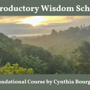 Introductory Wisdom School